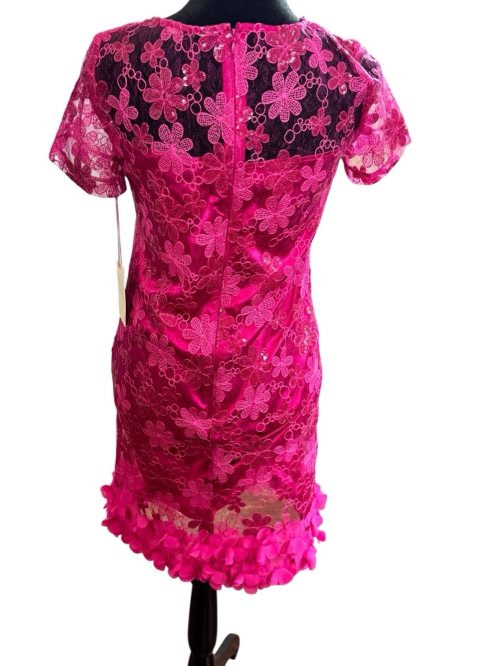 Alex Marie Pink Lace Floral Dress Sz 2 Embroidered Sequin Party Cocktail Dress - Picture 4 of 10